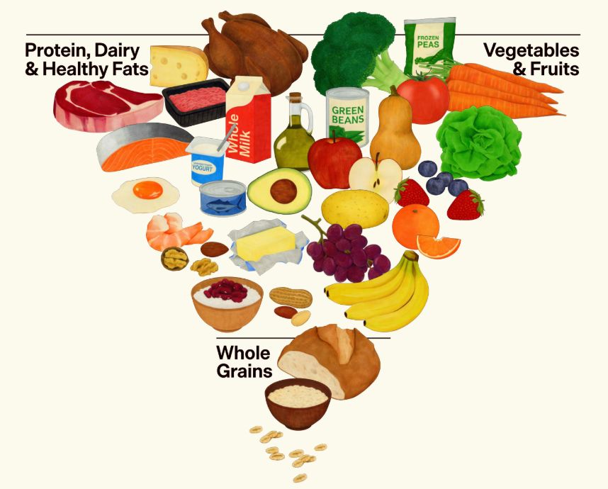 odwrócona piramida żywieniowa – ilustracja